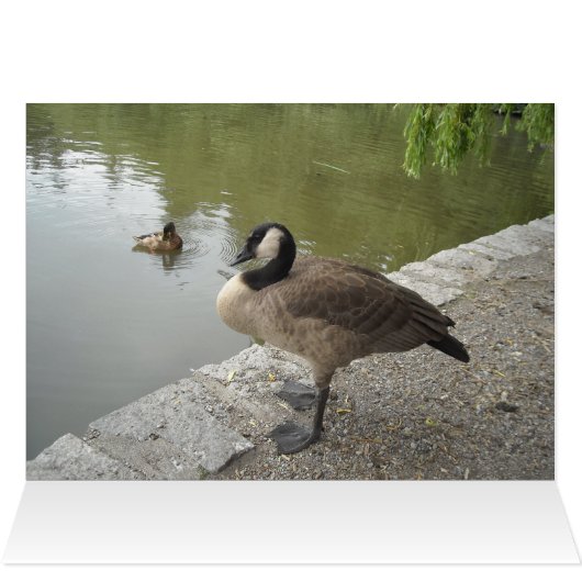 Wild Goose (Inside Horizontal (Top))