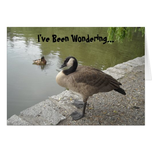 Wild Goose Cards (Front Horizontal)