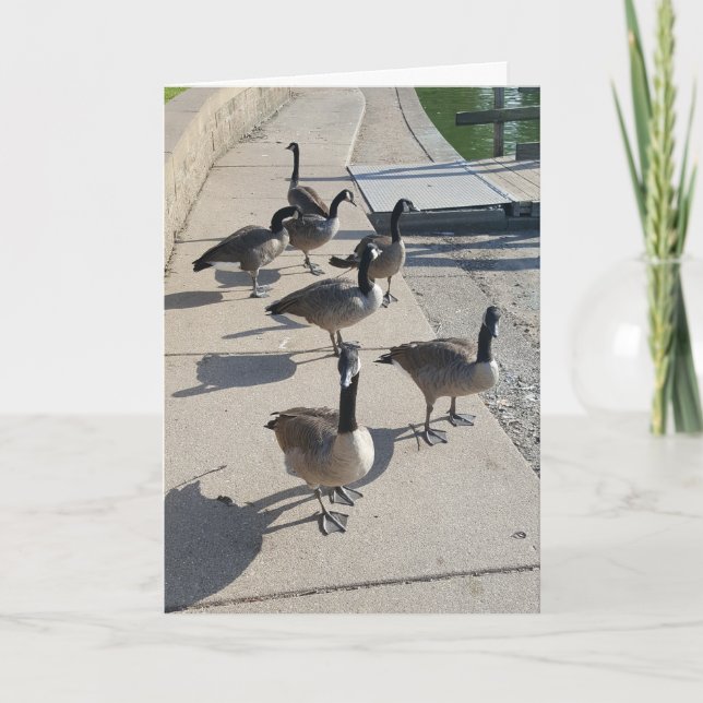 "Wild Goose Chase" Thank You Card (Front)