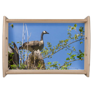 Wild Goose Serving Tray