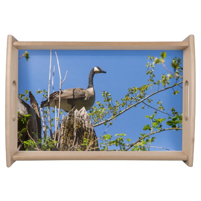 Wild Goose Serving Tray (Front)