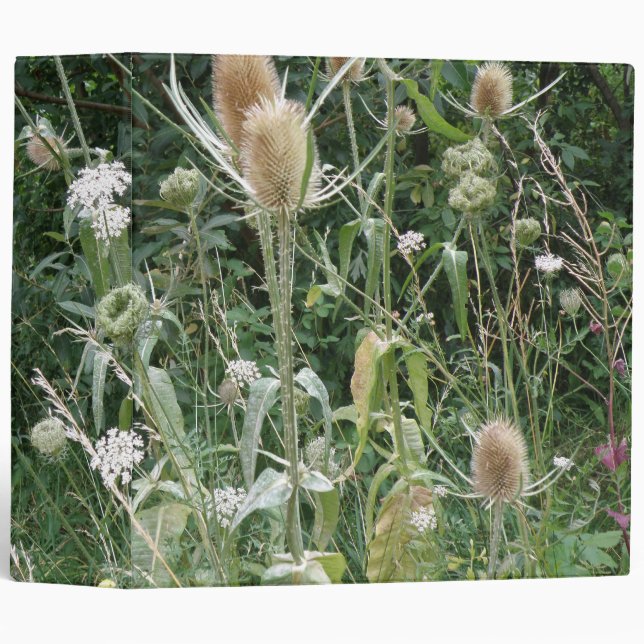 Wild Grasses Avery Binder (Front/Spine)