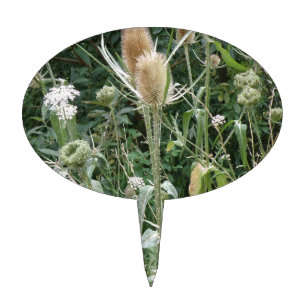 Wild Grasses Cake Pick