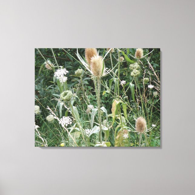 Wild Grasses Canvas Print (Front)
