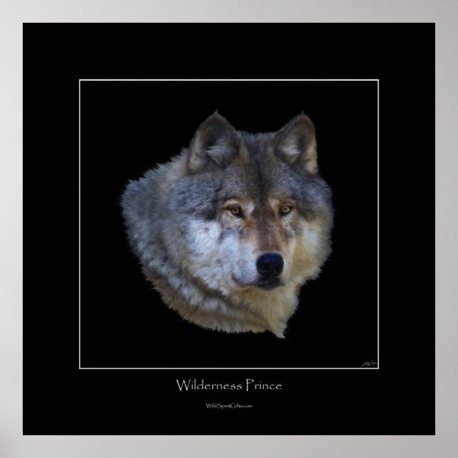 Wild Gray Wolf Art Poster (Front)