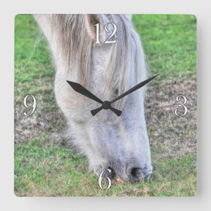 Wild Grazing New Forest Pony Hampshire, England Square Wall Clock