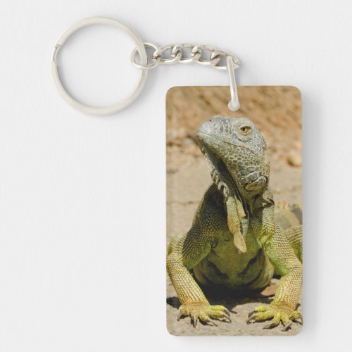 Wild Green iguana Keychain
