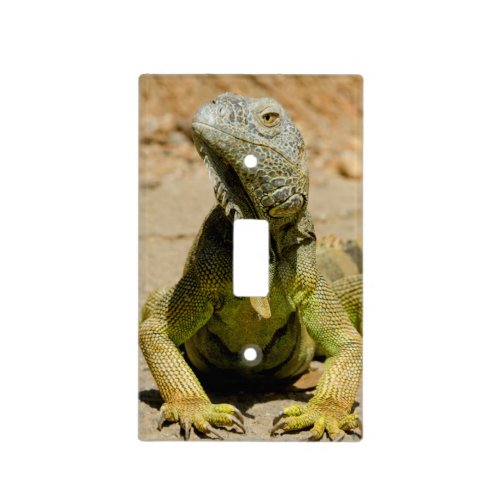 Wild Green iguana Light Switch Cover