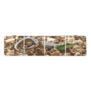 Wild Green Lizard Nature Photography Beer Pong Table