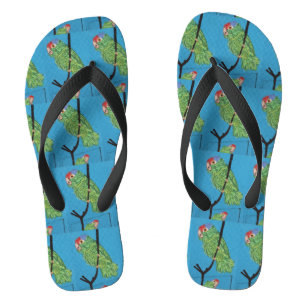 wild green parrots blue flip flops