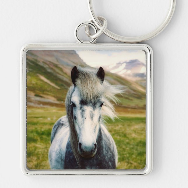 Wild Grey Horse in the Mountains Keychain (Front)