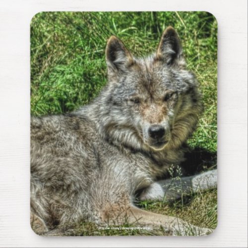 Wild Grey Wolf Animal_lover Design Mouse Pad