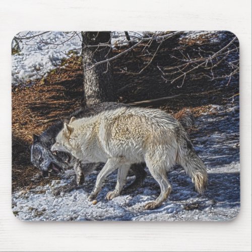 Wild Grey Wolf Animal_lover Design Mouse Pad