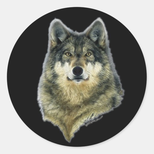 WILD GREY WOLF HEAD Stickers | Zazzle