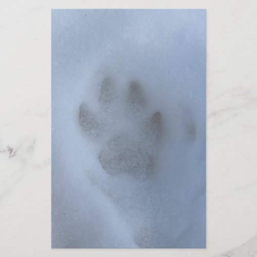Wild Grey Wolf Paw Print in Winter Snow Stationery