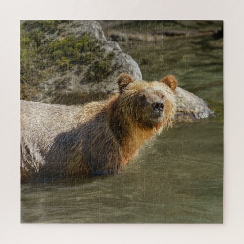 Wild Grizzly Bear At The Orford River Jigsaw Puzzle