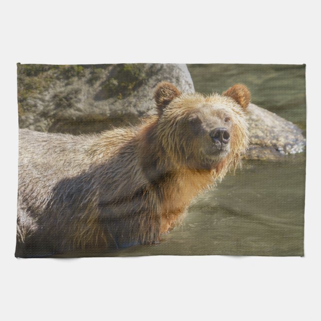 Wild Grizzly Bear At The Orford River Kitchen Towel (Horizontal)