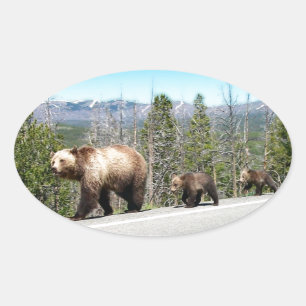 Wild Grizzly Bear Mama and Cubs in Yellowstone Oval Sticker