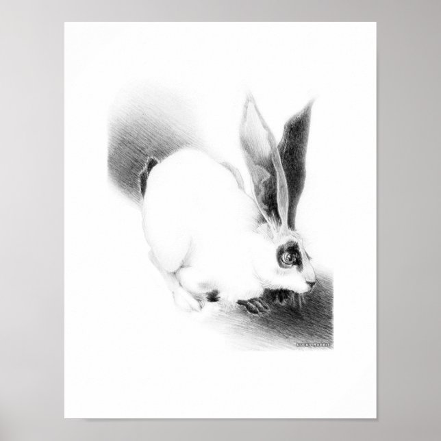 Wild Hare Card Poster (Front)