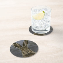 Wild Hare Coaster