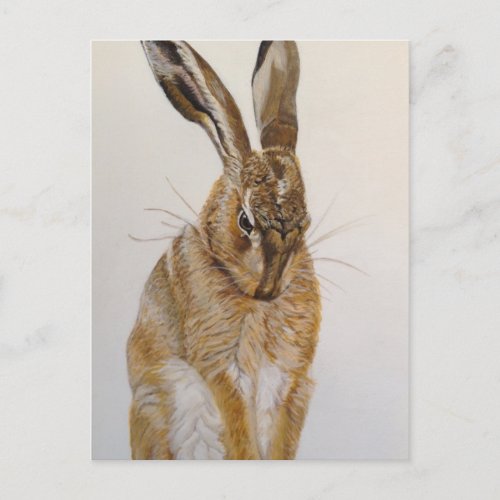 Wild Hare Postcard Acrylic Painting