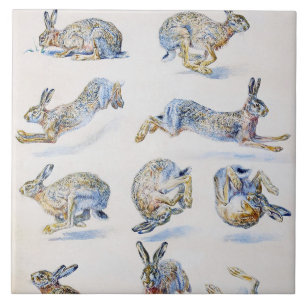 Wild Hare (Rabbit) Studies, Bruno Liljefors Ceramic Tile