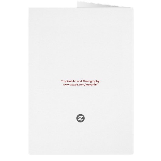 Wild Hawaiian Coffee Cherries (Back)