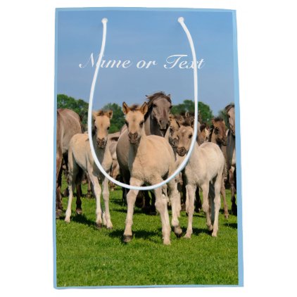 Wild Herd Dulmen Horses Foals Photo - Personalized Medium Gift Bag