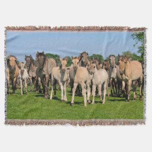Wild Herd Grullo Colored Dulmen Horses Foals  cozy Throw Blanket