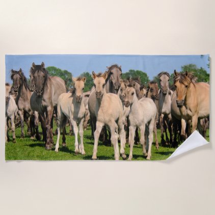 Wild Herd Grullo Colored Dulmen Horses Foals Photo Beach Towel