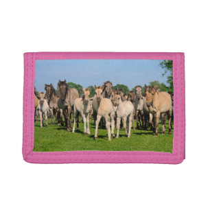 Wild Herd Grullo Colored Dulmen Horses Foals Photo Tri-fold Wallet