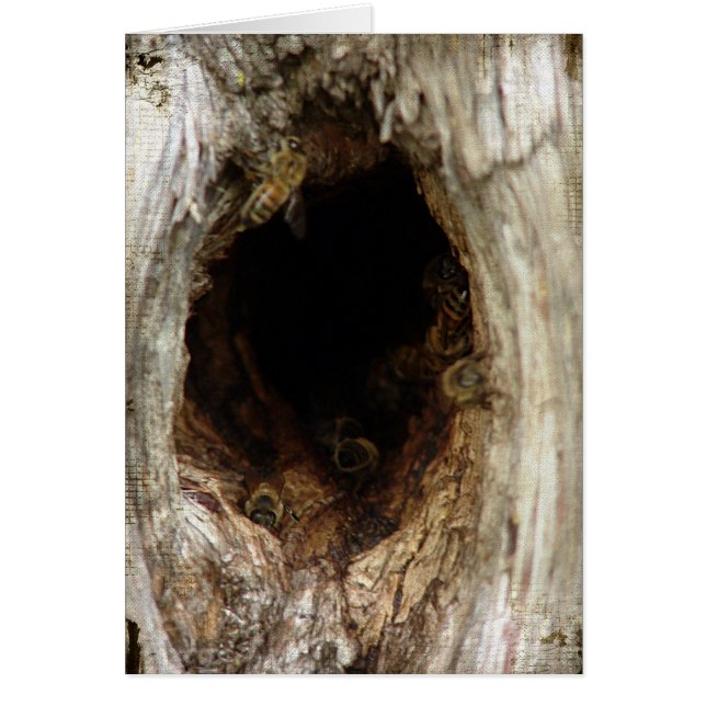 Wild Honey Bees in a Hollow Tree Cards (Front)