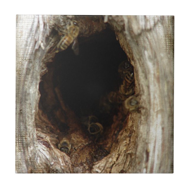 Wild Honey Bees in a Hollow Tree Ceramic Tile (Front)