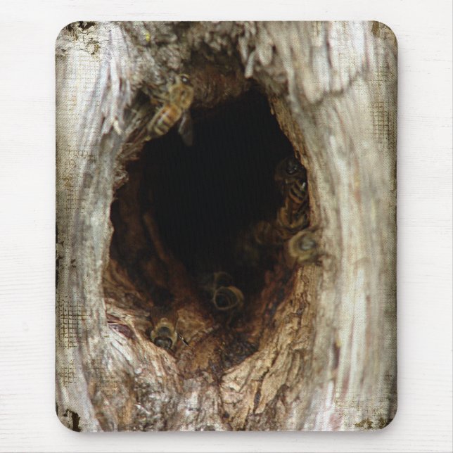 Wild Honey Bees in a Hollow Tree Mouse Pad (Front)