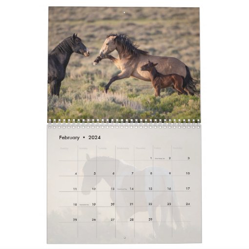 Wild Hoofbeats: Wild Horses of Wyoming Calendar | Zazzle