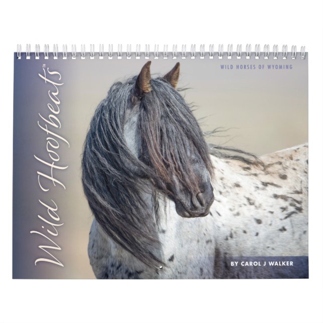 Wild Hoofbeats: Wild Horses of Wyoming Calendar (Cover)