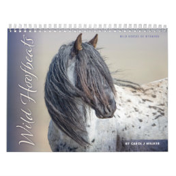 Wild Hoofbeats: Wild Horses of Wyoming Calendar