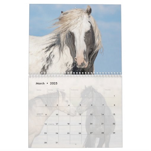 Wild Hoofbeats: Wild Horses of Wyoming Calendar | Zazzle