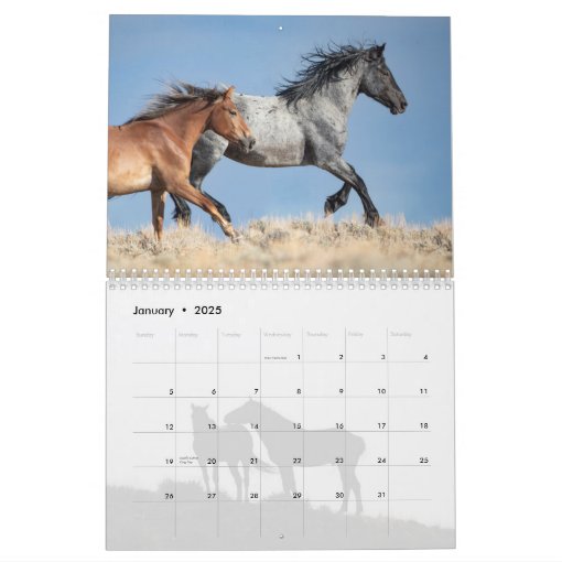 Wild Hoofbeats: Wild Horses Of Wyoming Calendar 