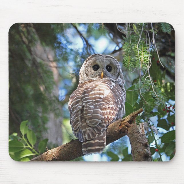 Wild Hoot Owl Staring in Forest Mouse Pad (Front)