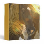 Wild Horse Binder