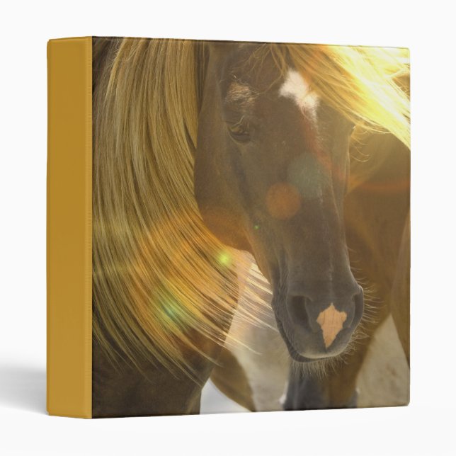 Wild Horse Binder (Front/Spine)