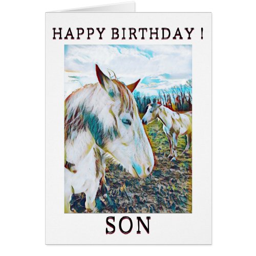 Wild horse Birthday Card