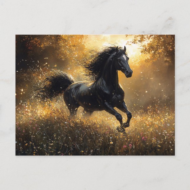 Wild Horse Black Stallion Mustang Postcard (Front)