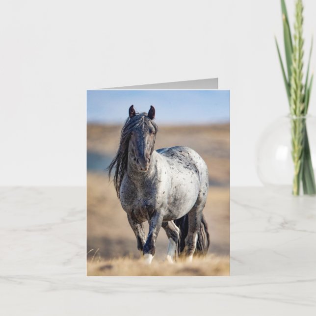 Wild Horse Blue Zeus Comes Close Greeting Card (Front)