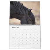 Wild Horse Bubba Calendar (Mar 2025)