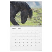Wild Horse Bubba Calendar (Jan 2025)