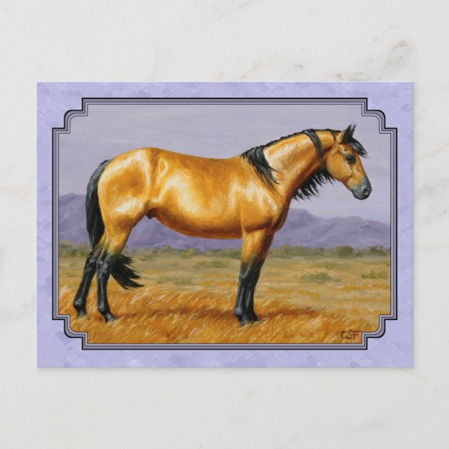 Wild Horse Buckskin Stallion Purple Postcard (Front)