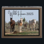Wild Horse Calendar<br><div class="desc">12 months of wild horses from southeast Oregon.</div>