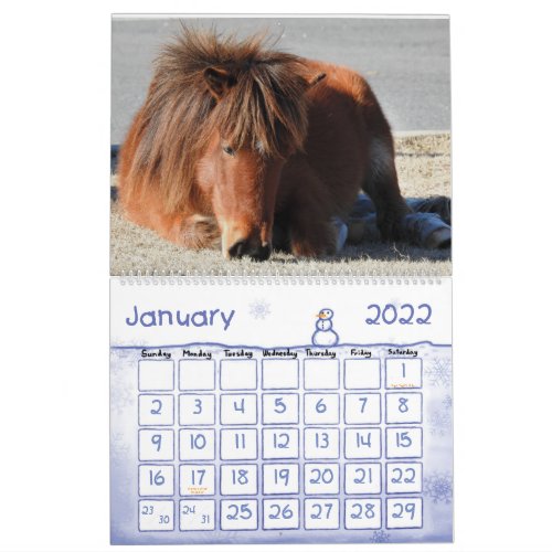 Wild Horse Calendar Assateague Island Calendar